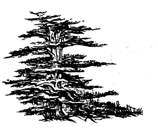 Hysope Guitares — L'arbre, logo de mes étiquettes de luthier